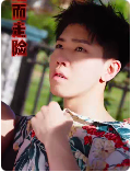 铤而走险