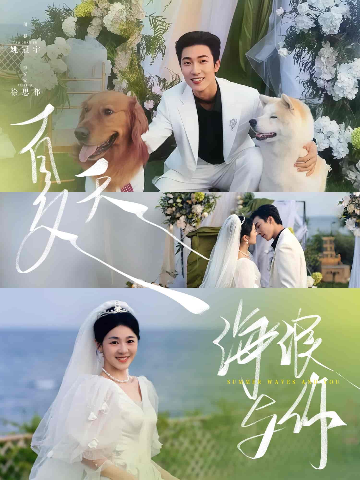 夏天,海浪与你