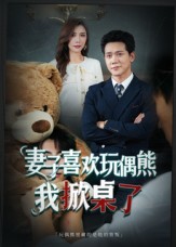 妻子喜欢偶熊,我掀桌了