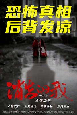 消失的我2026