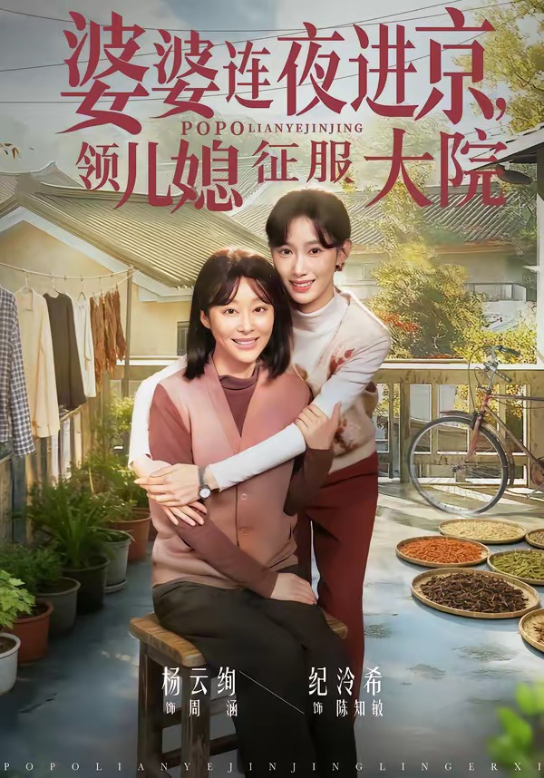 婆婆连夜进京,领儿媳征服大院