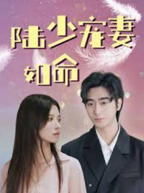陆少宠妻如命