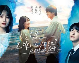 要再做一次夫妇吗?~伪装夫妇~