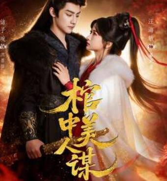 棺中美人谋