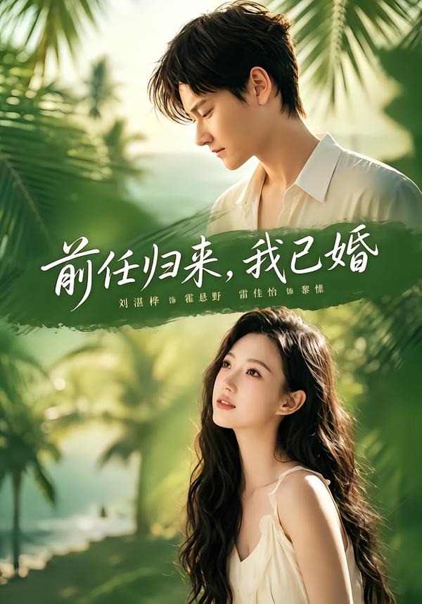 前任归来,我已婚