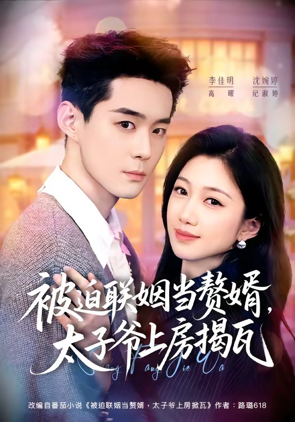 被迫联姻当赘婿，太子爷上房揭瓦封面图