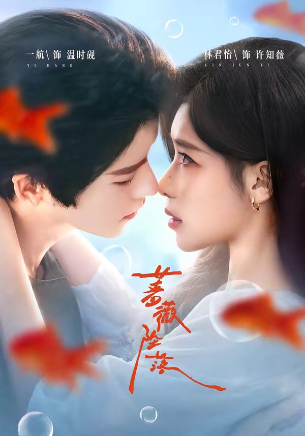 蔷薇坠落封面图