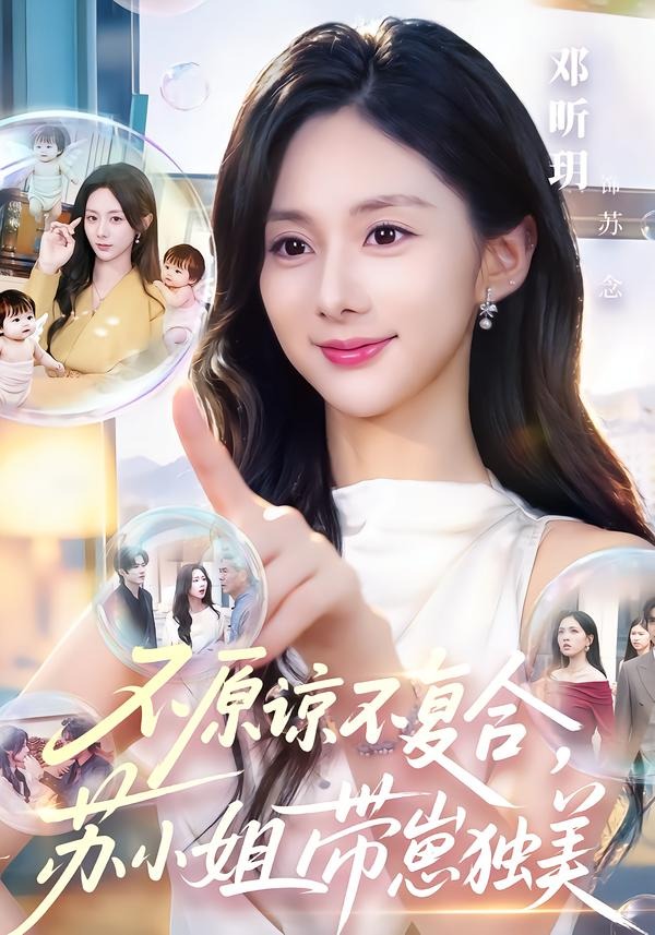 不原谅不复合，苏小姐带崽独美封面图
