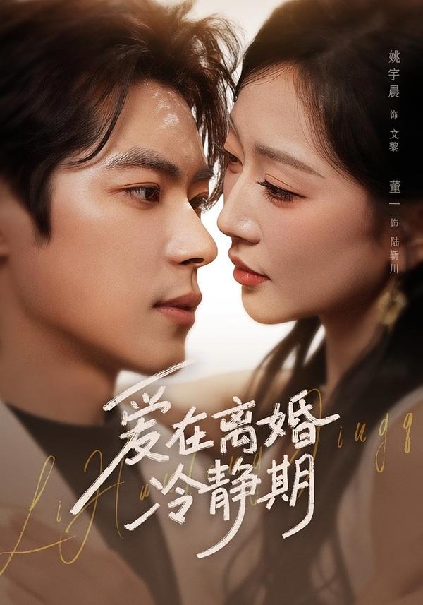爱在离婚冷静期封面图