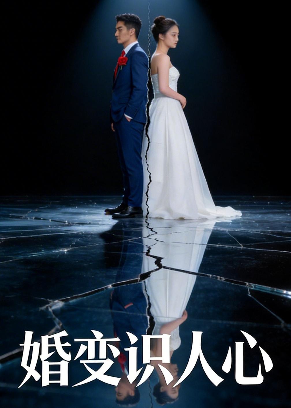 婚变识人心封面图