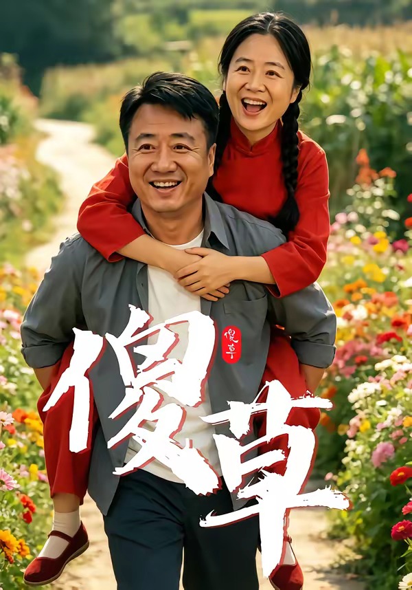 傻草封面图