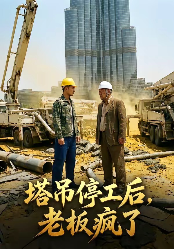 塔吊停工后老板疯了封面图