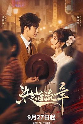 染指流年封面图