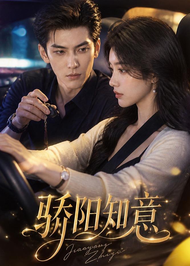 骄阳知意封面图