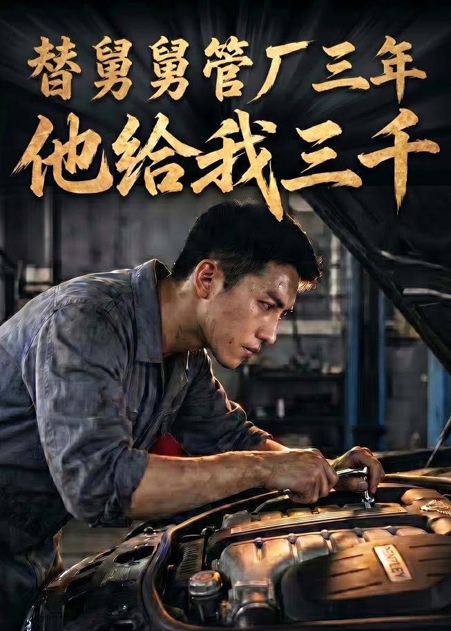 替舅舅管厂三年他给我三千封面图