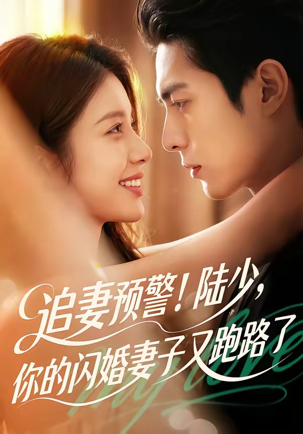 追妻预警！陆少，你的闪婚妻子又跑路了封面图